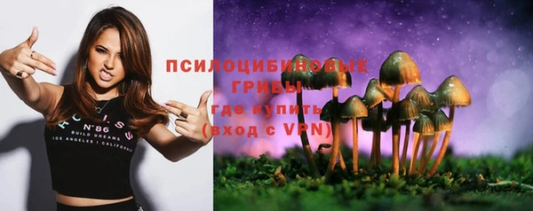 mix Алексин