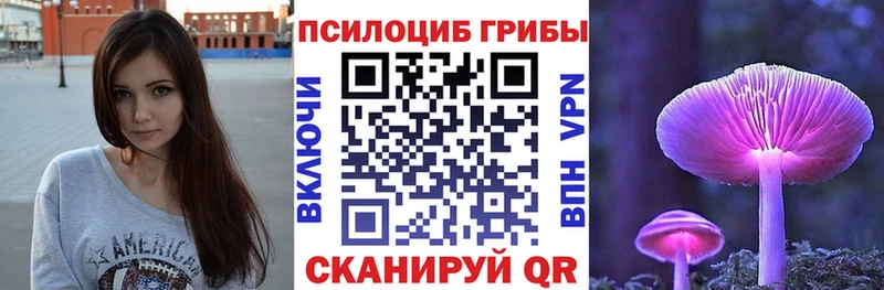 где купить наркоту  дарк нет телеграм  Галлюциногенные грибы прущие грибы  Сясьстрой 