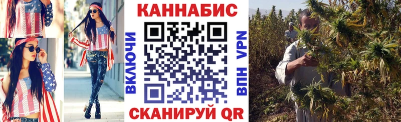 Бошки Шишки планчик  Сясьстрой 